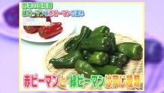 #10 野菜の豆知識 ?緑ピーマンと赤ピーマンの違い