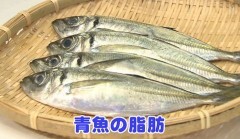 #2 メタボ撃退健康法 ?油を摂取するなら植物油、もしくは魚の脂 