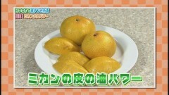 #31 科学の力で楽チン台所術 ?みかんの皮のパワーでシンクをキレイに！（リモネン） 