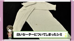 #5 洋服についたシミを取る方法