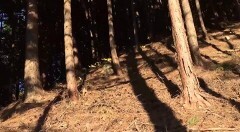 流出心霊動画 呪われたスマホ動画編