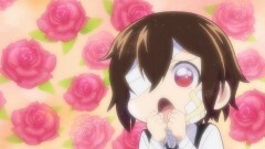 #11 第11わん！