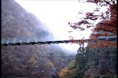 〜完全保存版〜恐怖の怨霊ビデオ 5