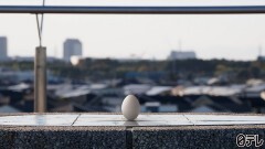 第12回「負けざる戦士」