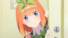 第1話 今日と京都の凶と共