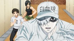 第5話 サイトカイン