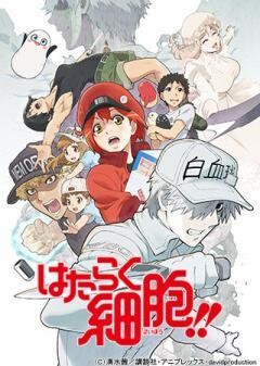 はたらく細胞!!