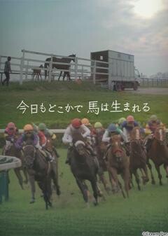 今日もどこかで馬は生まれる